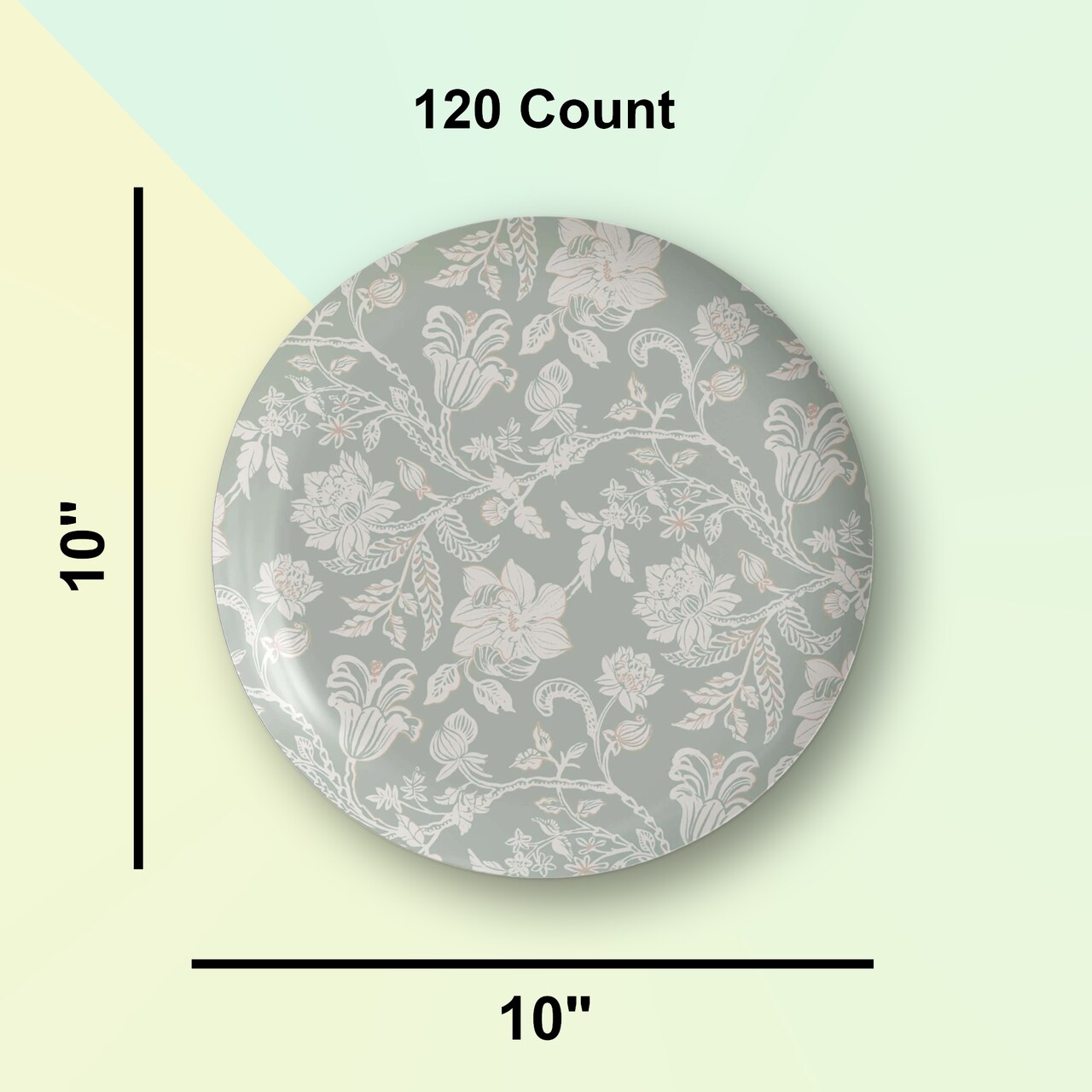 120 Count Earthtrends Gracy Green White Paper Plates Durable 10 Inch Disposable Supplies